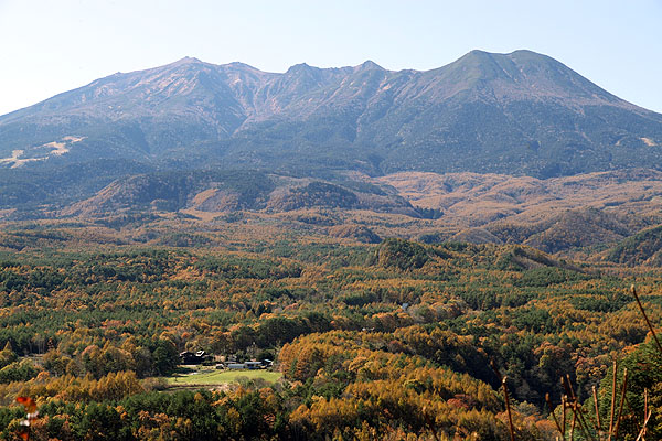 ２０１１年の開田高原の紅葉